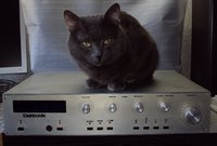 Корпус_01.JPG (158.8 KiB) Viewed 5992 times Корпус_01.JPG